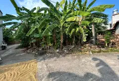 🔥 Lô góc 2 mặt thoáng – Tập Ninh, Chi Lăng, Bắc Ninh | 110m² – Chi Lăng Bắc Ninh - 1.95 tỷ... Bán đất tại Chi Lăng, Bắc Ninh 10