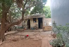 BÁN ĐẤT THANH AM , VỊ TRÍ ĐẸP , DIỆN TÍCH RỘNG OTO VÀO NHÀ . GIÁ 10.8 TỶ CÓ THƯƠNG LƯỢNG... Bán đất tại Việt Hưng, Hà Nội 17