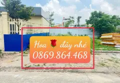 Bán Đất Phân Lô khu X2 Đồng Nhân Hải Bối Đông Anh... Bán đất tại Vĩnh Thanh, Hà Nội 02