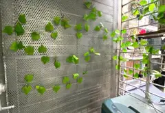 Căn hộ 2 phòng ngủ ngay trung tâm Ba Đình, tiện nghi hiện đại... Bán căn hộ chung cư tại Ngọc Hà, Hà Nội 06