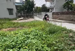 Đất góc 3 mặt tiền, ngay Nội Bài - Không gian sống lý tưởng... Bán đất tại Nội Bài, Hà Nội 03