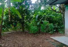 Đất nền 7000m² rộng thoáng, siêu tiềm năng Hiệp Phước... Bán đất tại Hiệp Phước, Hồ Chí Minh 02
