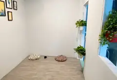 Nhà nhỏ 3 tầng giá tốt tại trung tâm Quận 10, Sổ hồng riêng... Bán nhà riêng tại Hòa Hưng, Hồ Chí Minh 01