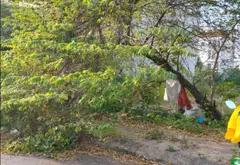 Bán đất tại Phường Yên Nghĩa, Hà Nội – 50m², giá 6.7 tỷ, pháp lý rõ ràng... Bán đất tại Yên Nghĩa, Hà Nội 03