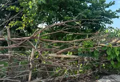 Lô đất hướng Đông Nam đối diện trung tâm hành chính phường Hồng An... Bán đất tại Hồng An, Hải Phòng 03