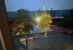 ⭕️ Biệt thự đẳng cấp Do Thượng, Mê Linh HÀ NỘI 175M2 DÂN XÂY 3 TẦNG SẴN Ở KINH DOANH Ô TÔ TRÁNHVIEW... Bán nhà riêng tại Mê Linh, Hà Nội 06