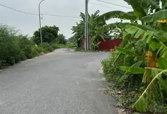 Đất vàng kim cương, ô tô vào tận nơi, gần đường chính... Bán đất tại An Khánh, Hải Phòng 02