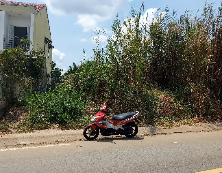 🔥 MT ĐÀO SƯ TÍCH – PHƯỚC LỘC, NHÀ BÈ
📐 Ngang 5m x 34m
Mặt tiền đường 25m Đào Sư tích... Bán đất tại Nhà Bè, Hồ Chí Minh 01