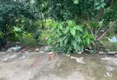 Bán đất thôn Hầu, Lâm Động, Thủy Nguyên, diện tích 58m², hướng Nam, pháp lý cơ sở... Bán đất tại Thiên Hương, Hải Phòng 03
