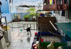 Nhà mặt phố - 86m² - An Lạc, Bình Tân, TP Hồ Chí Minh - 10.5 tỷ... Bán nhà mặt phố tại An Lạc, Hồ Chí Minh 03