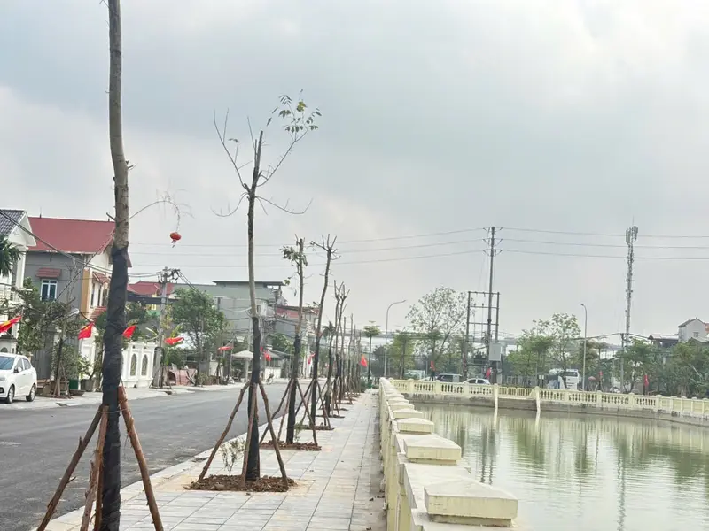🌺NỞ HẬU - ĐƯỜNG THÔNG OTO VÀO ĐẤT - CÁCH TRỤC KINH DOANH OTO TRÁNH HỒ ĐIỀU HOÀ THOÁNG MÁT CHỈ 30M... Bán owner_side tại Thiên Lộc, Hà Nội 01