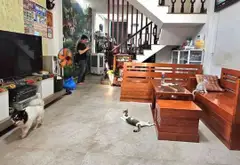 Nhà Mặt Phố Tây Sơn - 5 Tầng, Kinh Doanh Sầm Uất... Bán nhà mặt phố tại Phú Thọ Hòa, Hồ Chí Minh 02