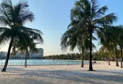 Bán biệt thự liền kề lô góc Hải Âu 2 Vinhomes Ocean Park... Bán biệt thự, liền kề tại Gia Lâm, Hà Nội 04