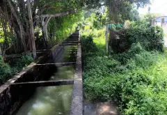 Cơ hội sở hữu nhà vườn rộng 615m² tại xã Củ Chi, không gian riêng tư hiếm có... Bán đất tại Củ Chi, Hồ Chí Minh 07
