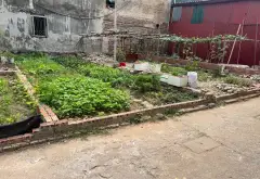 41m Khu Phố Mai Động Đàm Viết Kính 41 Đất 4 10 1.68 tỷ... Bán đất tại Phù Khê, Bắc Ninh 03