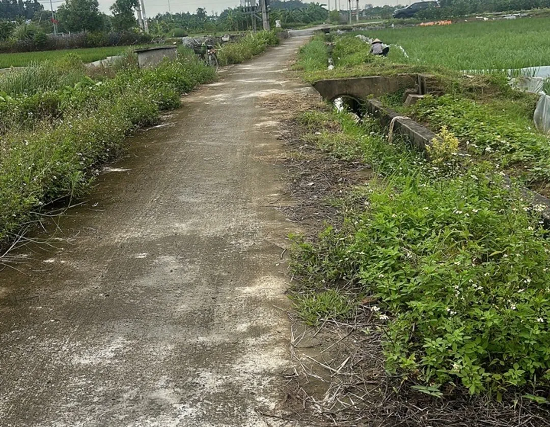 Đất nền Thủy Nguyên - Cơ hội sinh lời từ lô đất tiềm năng gần khu đô thị Vlasta... Bán đất tại Hòa Bình, Hải Phòng 01