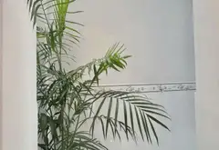 Bán nhà 3 tầng lô góc diện tích 56m2 tại phường Bình Trưng Quận 2... Bán nhà riêng tại Bình Trưng, Hồ Chí Minh 03