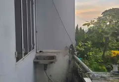Cơ Hội Vàng Sở Hữu Nhà Mặt Phố Tân Bình, Giá Sốc 16.3 Tỷ... Bán nhà mặt phố tại Tân Bình, Hồ Chí Minh 14