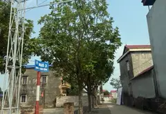 Lô đất đẹp tặng xe điện VinFast, cơ hội đầu tư tuyệt vời... Bán đất tại Sóc Sơn, Hà Nội 06