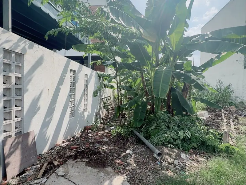 CHỦ GẤP – GIẢM 100TR – CÒN 4,7 TỶ 🔥
🏡 ĐẤT ĐẸP NGUYỄN DUY TRINH – LONG TRƯỜNG-82m- xe hơi tránh... Bán đất tại Long Trường, Hồ Chí Minh 01