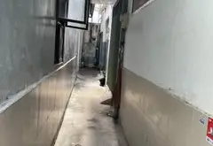 Nhà riêng lô góc 2 mặt hẻm tại quận Gò Vấp giá 2.2 tỷ... Bán nhà riêng tại An Hội Tây, Hồ Chí Minh 13