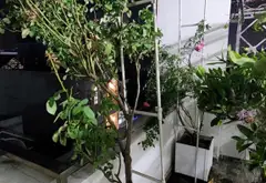 Nhà trung tâm Bình Tân, Bình Trị Đông
 4 tầng. , 6ty950. Đường xe tải tránh... Bán nhà mặt phố tại Bình Tân, Hồ Chí Minh 06