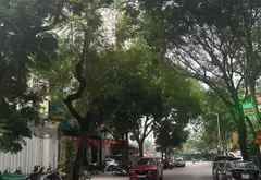 Bán biệt thự đơn lập 4 tầng tại Bắc Linh Đàm, 195m², pháp lý rõ ràng... Bán biệt thự, liền kề tại Định Công, Hà Nội 02