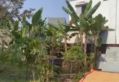 🔥 100M² – Ô TÔ VÀO TẬN NƠI – 2,3 TỶ… CÓ ĐÁNG XUỐNG TIỀN?... Bán đất tại Cẩm Lệ, Đà Nẵng 01