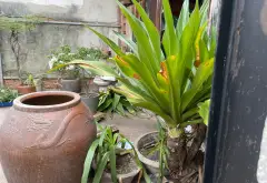 Đất hiếm 63m2, hẻm xe hơi, tặng xe Vision khi công chứng... Bán đất tại Tân Sơn Nhất, Hồ Chí Minh 04