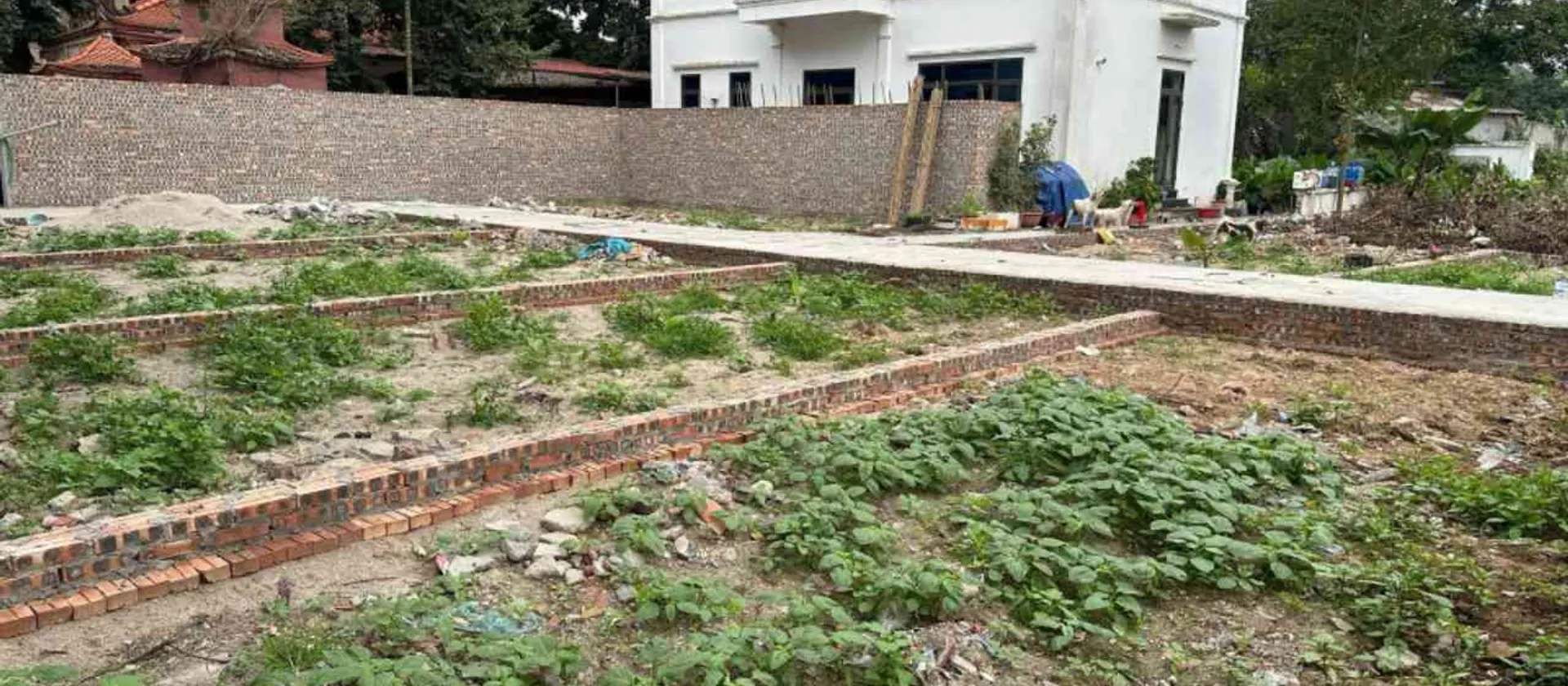 Bán đất 41m² - Thôn Tuấn Dị, Hưng Yên - Giá 1.45 tỷ, Tiềm năng đầu tư lớn... Bán đất tại Như Quỳnh, Hưng Yên 01