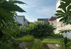 Bán đất thổ cư 51m² tại khu vực đông dân cư gần chợ và uỷ ban... Bán đất tại An Dương, Hải Phòng 02