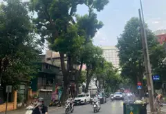Nhà mặt phố - 129m² - Cửa Nam, Hai Bà Trưng, Hà Nội - 105 tỷ... Bán nhà mặt phố tại Cửa Nam, Hà Nội 01
