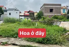 Cơ hội duy nhất sở hữu đất nở hậu Thụy Hương, Phú Cường, Sóc Sơn... Bán đất tại Nội Bài, Hà Nội 05