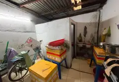 Mặt tiền NGUYỄN DU | Gò Vấp rất tấp nập... Bán nhà mặt phố tại Hạnh Thông, Hồ Chí Minh 09
