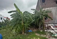 Bán đất mặt ngõ rộng 8m tại Tân Thành, Dương Kinh, diện tích 110m2 giá 2,4 tỷ... Bán đất tại Dương Kinh, Hải Phòng 01