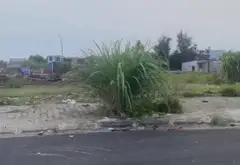 Cơ Hội Đầu Tư Hiếm Có Đất Tái Định Cư Đảo Cát Hải Mặt Tiền Rộng 10m... Bán đất tại Đặc khu Cát Hải, Hải Phòng 04