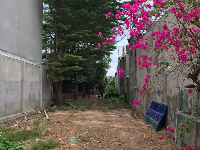 🔥 QUỸ ĐẤT 939,5M² – ĐÔNG THẠNH – CÓ 105M² ĐẤT Ở LÂU DÀI - 9,5 TY🔥... Bán đất tại Đông Thạnh, Hồ Chí Minh 01