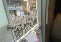 Nhà Mặt Phố Sầm Uất, Giá Hấp Dẫn, Tiện Kinh Doanh... Bán nhà mặt phố tại Nhiêu Lộc, Hồ Chí Minh 06
