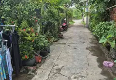 🏡 BÁN NHÀ CẤP 4 – PHẠM THỊ VÀNG, BÀ ĐIỂM, HÓC MÔN. Giá 3 tỉ... Bán nhà riêng tại Bà Điểm, Hồ Chí Minh 02