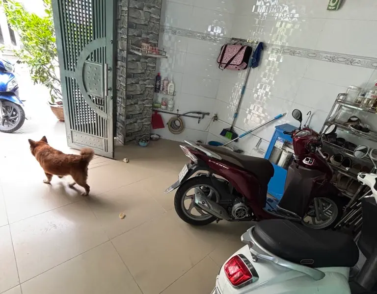 Bán nhà 4 tầng mặt phố Nguyễn Thái Học, diện tích 83.7m2, giá 13.5 tỷ... Bán nhà mặt phố tại Phú Thọ Hòa, Hồ Chí Minh 01