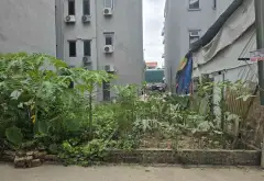 Cơ hội rinh đất vàng Phân Lô Ngọc Thụy, Long Biên giá tốt 9.6 tỷ... Bán đất tại Bồ Đề, Hà Nội 07