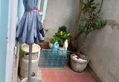 Cơ hội vàng sở hữu nhà mặt phố kinh doanh đắc địa tại trung tâm thành phố... Bán nhà mặt phố tại Tân Hưng, Hồ Chí Minh 14