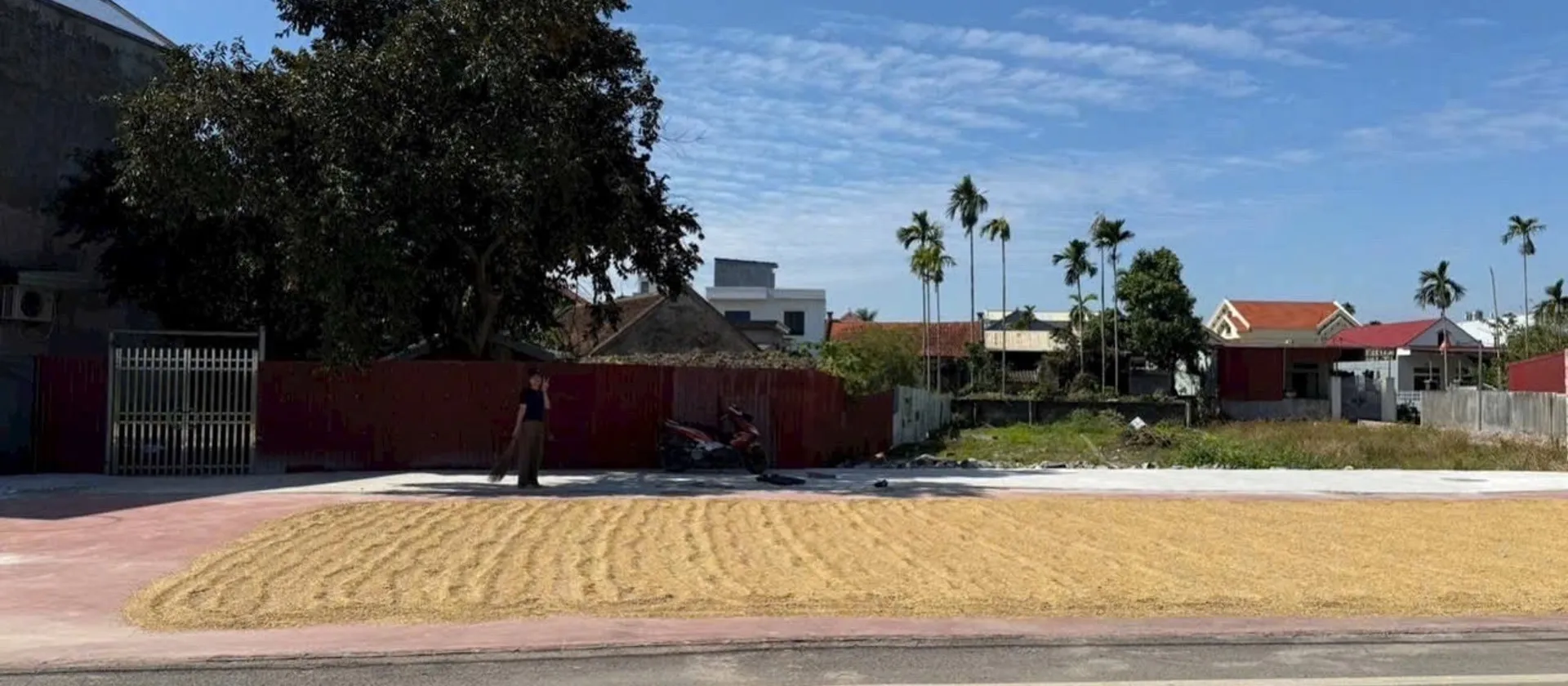 Đất rộng 139,8m2 tại Hoa Động, Thủy Nguyên, vị trí thuận tiện gần trung tâm... Bán đất tại Thủy Nguyên, Hải Phòng 01