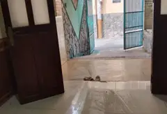 Nhà mặt phố Thủ Đức siêu lợi nhuận, vừa ở vừa cho thuê... Bán nhà mặt phố tại Thủ Đức, Hồ Chí Minh 13