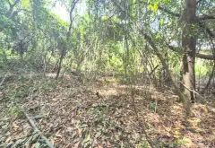 Bán đất dự án sát chung cư quận 7, diện tích 2890 m2, pháp lý chuẩn... Bán đất tại Phú Thuận, Hồ Chí Minh 06