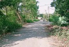 Cơ hội sở hữu đất thổ cư rộng lớn giá cực tốt tại Bình Mỹ... Bán đất tại Bình Mỹ, Hồ Chí Minh 11