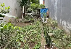 Đất Phân Lô Hiếm Có Tại Duyên Thái, Ngọc Hồi... Bán đất tại Ngọc Hồi, Hà Nội 06