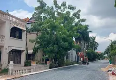 Bán biệt thự 446m2 tại khu Villa An Phú Đông, Quận 12 với view sông Sài Gòn cực hiếm... Bán biệt thự, liền kề tại An Phú Đông, Hồ Chí Minh 10