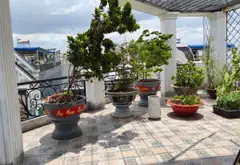 Nhà mặt phố góc 2 MT sầm uất, diện tích rộng tại An Phú... Bán nhà mặt phố tại An Phú, Hồ Chí Minh 19