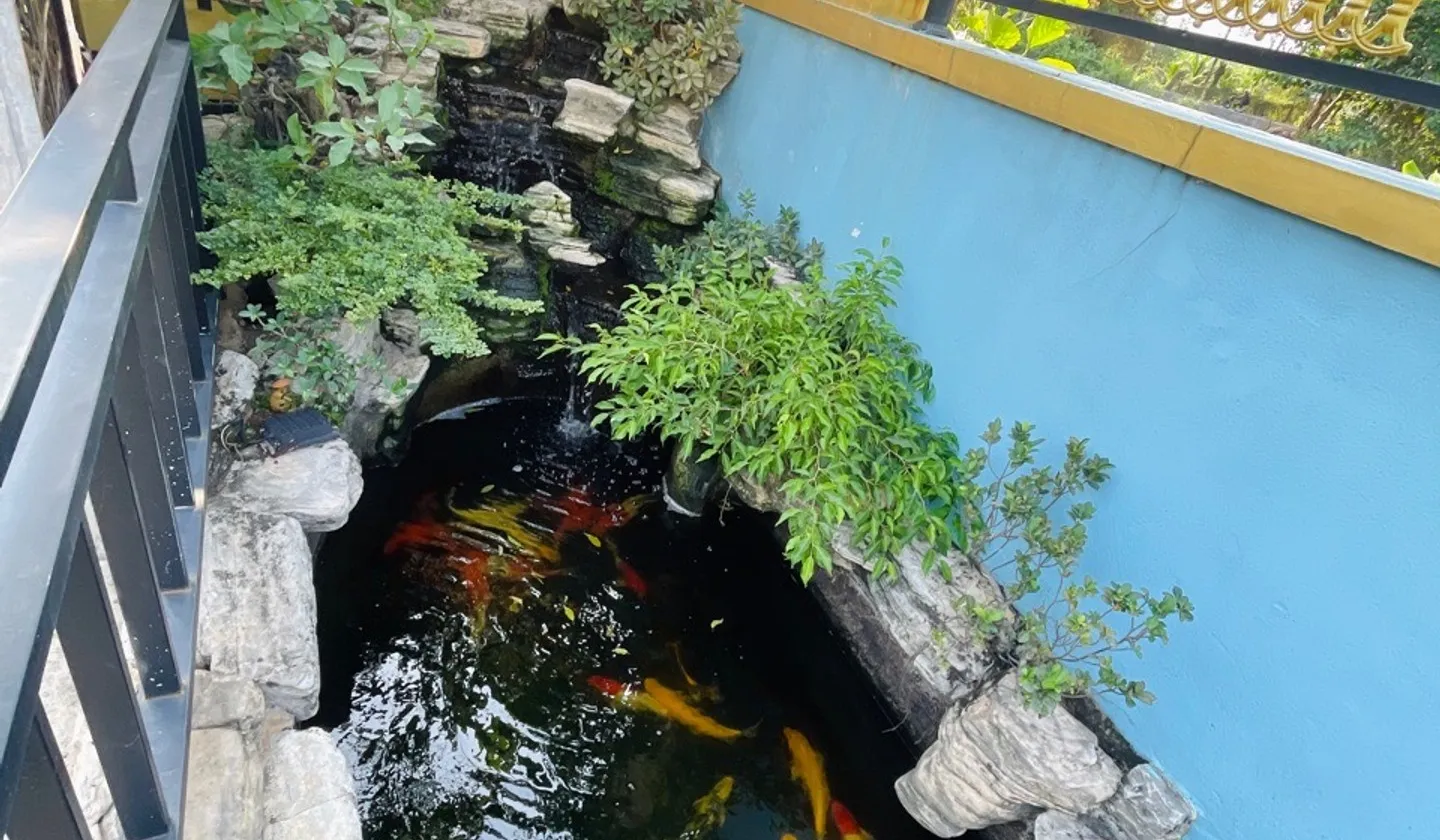 Biệt thự vườn ven sông Thạnh Xuân 38, Quận 12 - 660m2 3 tầng - 28.x tỷ... Bán nhà riêng tại Thới An, Hồ Chí Minh 01